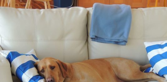 disturbi del sonno