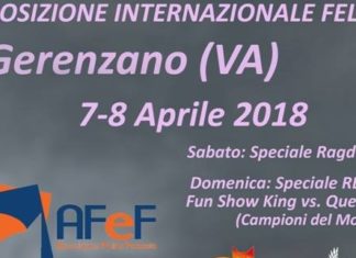 esposizione felina