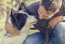 vaiolo scimmia primo conto corrente per cani