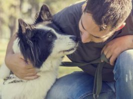 vaiolo scimmia primo conto corrente per cani