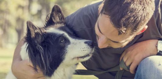 Nasce il primo conto corrente per cani e gatti, si chiama Amici Fedeli vaiolo scimmia primo conto corrente per cani