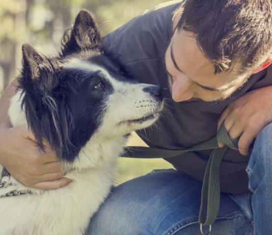 vaiolo scimmia primo conto corrente per cani