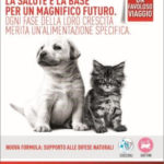 Royal Canin concorso un viaggio incredibile
