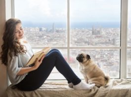 Animali domestici in condominio: diritti, doveri e regole da rispettare animali domestici in condominio