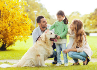 cane famiglia animali da compagnia famiglie europee famiglie italiane