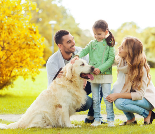 Pet in Italia: membri a tutti gli effetti della famiglia e della comunità cane famiglia animali da compagnia famiglie europee famiglie italiane