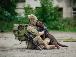 Il difficile ritorno dall’Afghanistan dei cani militari cani militari
