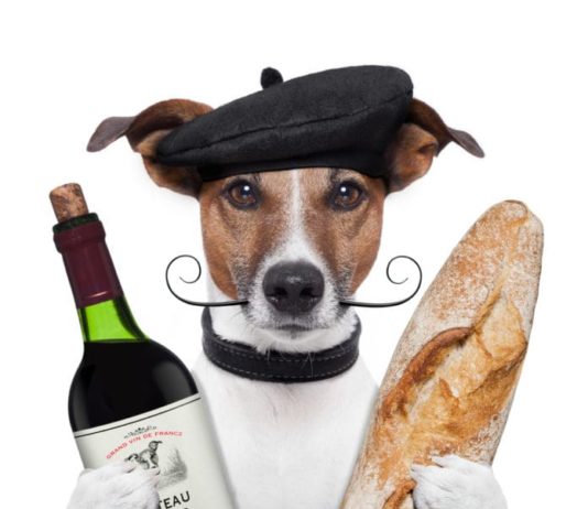 Parigi, città da scoprire con Fido. I consigli per visitarla parigi