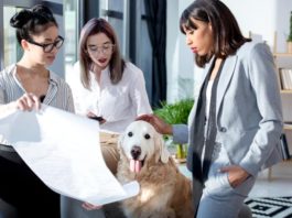 giornata del cane in ufficio