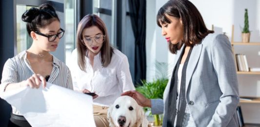 giornata del cane in ufficio
