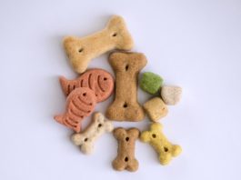 come scegliere il mangime per cani