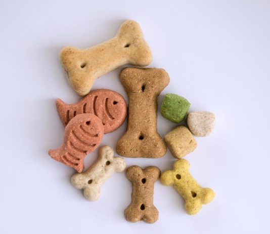 come scegliere il mangime per cani