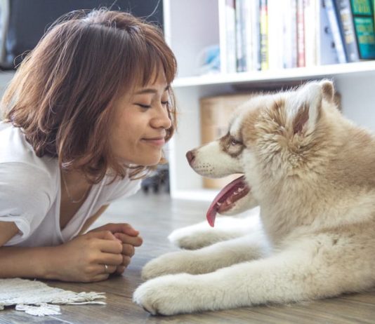 iperattaccamento secondario