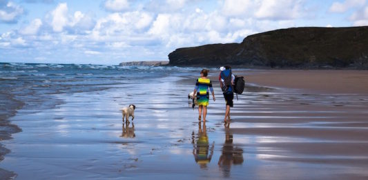 Al mare o in montagna con il migliore amico a quattro zampe! quattro zampe