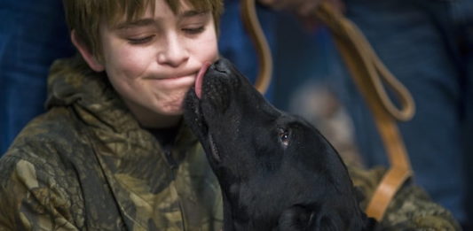 baciare un animale domestico