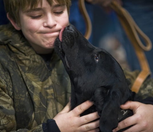 Baciare un animale domestico: pericoli o benefici per la salute? baciare un animale domestico