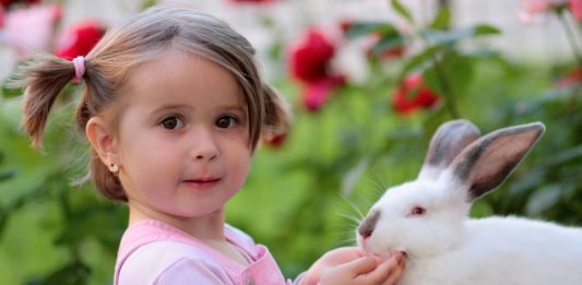 Non solo gatti e cani: in vacanza con l’amico coniglio!