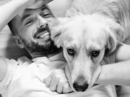 Pet Therapy