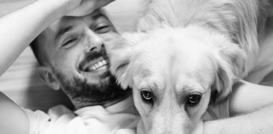Pet Therapy
