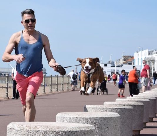 Stare in forma con l’amico a quattro zampe? Ecco i consigli degli esperti! stare in forma