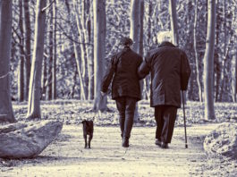 VETeris animali e anziani