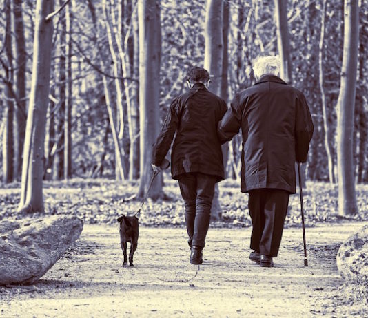 Animali e anziani: una relazione benefica per entrambi VETeris animali e anziani