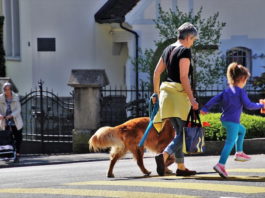 città pet friendly