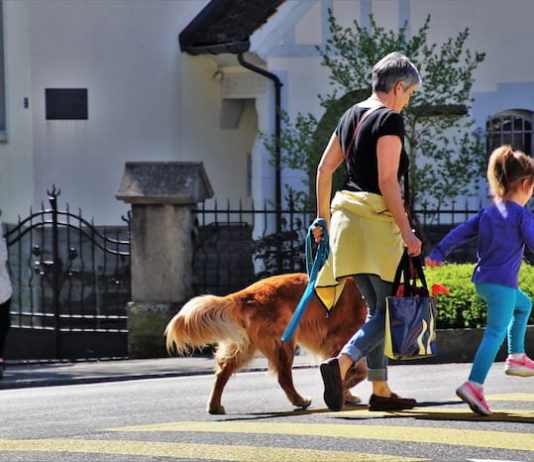 Prato, Terni e Napoli sono le città più pet friendly d’Italia città pet friendly