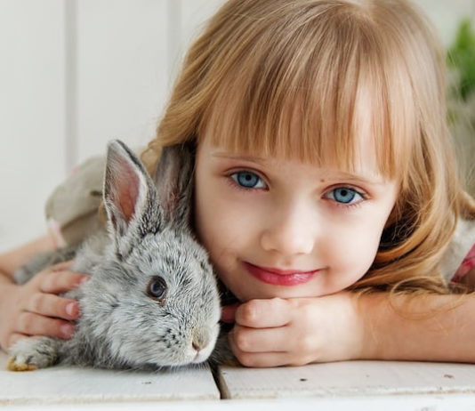 Come vede un coniglio? Un campione di visione panoramica! come vede un coniglio