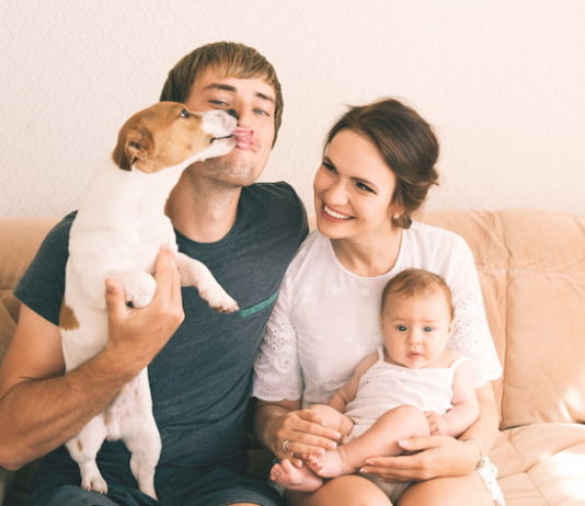 Cosa accade quando in famiglia arriva un cucciolo? cucciolo in casa