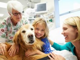 pet-therapy
