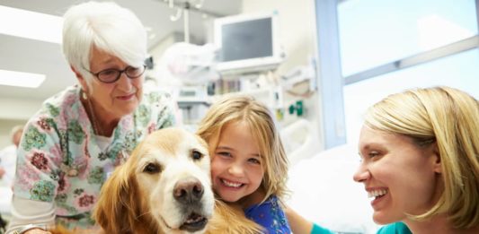 pet-therapy