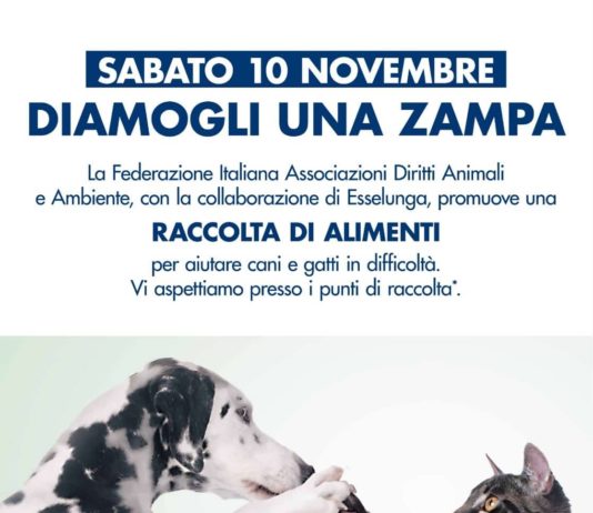 Esselunga - raccolta alimentare - diamogli una zampa
