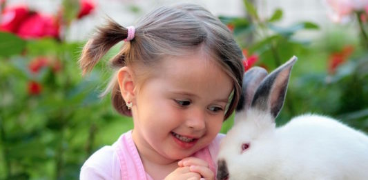 Come funziona la digestione nel coniglio? digestione nel coniglio