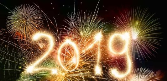 Buon Anno con i fuochi d’artificio silenziosi per tutelare gli animali capodanno 2019