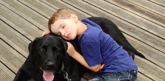 paura dei fuochi d'artificio