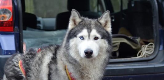 Vacanza sulla neve? Alcuni consigli per viaggiare senza problemi! vacanza sulla neve