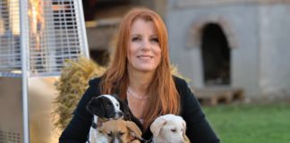 dalla parte degli animali