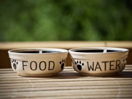 valore nutritivo degli alimenti