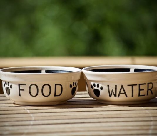 Valore nutritivo degli alimenti: 5 regole da ricordare valore nutritivo degli alimenti