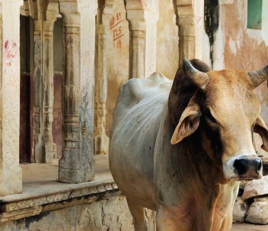 India