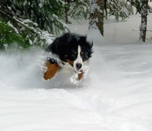 alimentazione corretta