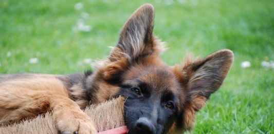 eliminazioni inappropriate