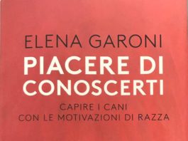 piacere di conoscerti libro