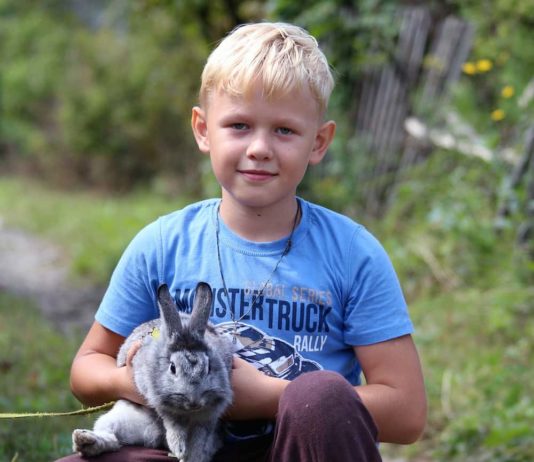 socialità del coniglio