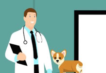 world veterinary day