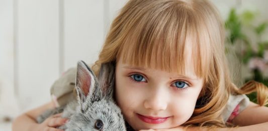 coniglio e arricchimenti ambientali