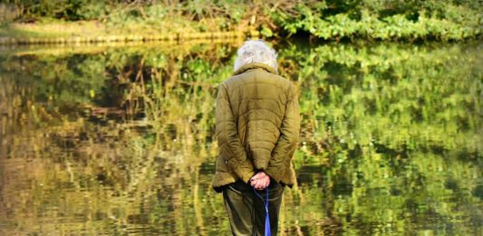 passeggiata con il cane