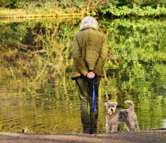 passeggiata con il cane