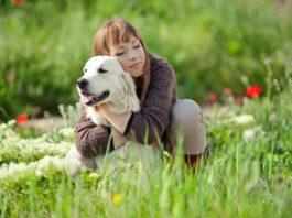 personalità del cane